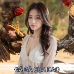 đá gà cựa dao