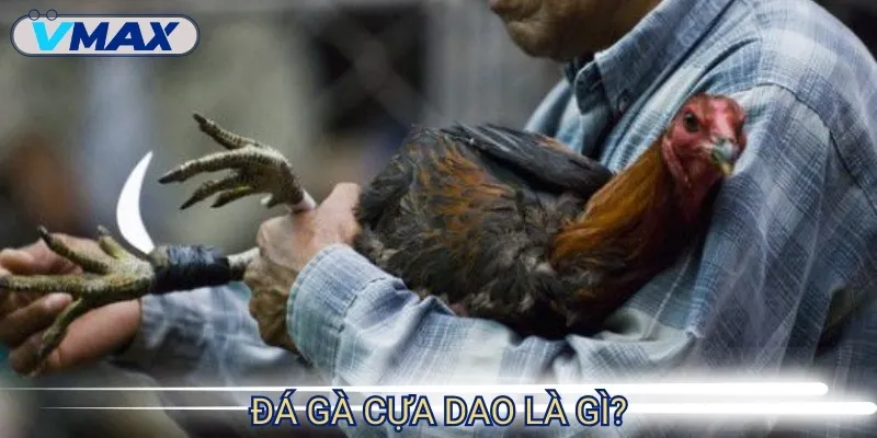 Đá Gà Cựa Dao - Trận Chiến Nhanh, Mạnh Và Cực Kịch Tính 2 đá gà cựa dao loại hình