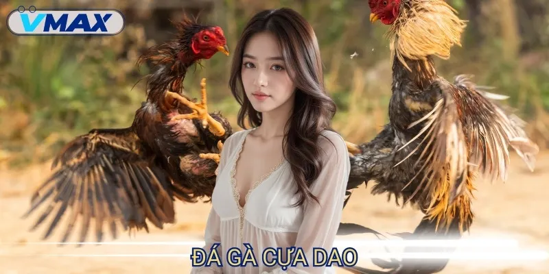 Đá Gà Cựa Dao - Trận Chiến Nhanh, Mạnh Và Cực Kịch Tính 1 đá gà cựa dao