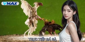 Đá Gà Thomo – Thế Giới Cá Cược Đầy Cam Go Và Khốc Liệt