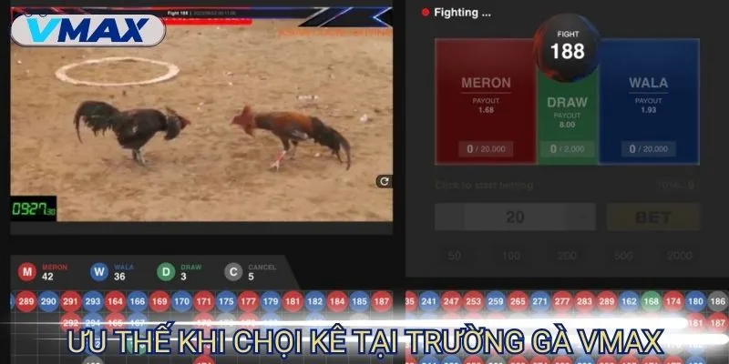 trường gà uy tín ưu điểm